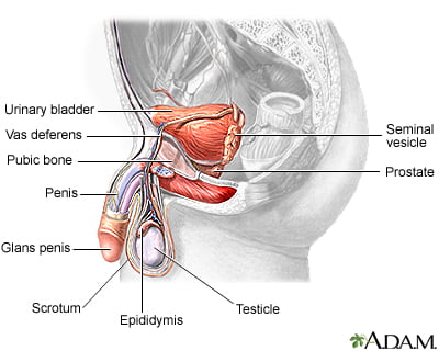 Enlarged Prostate