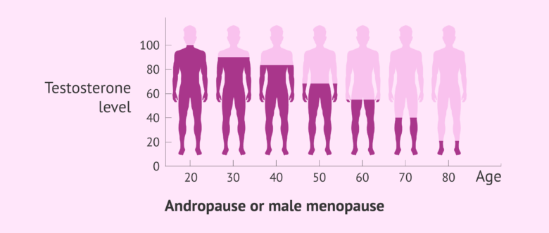 Men Andropause