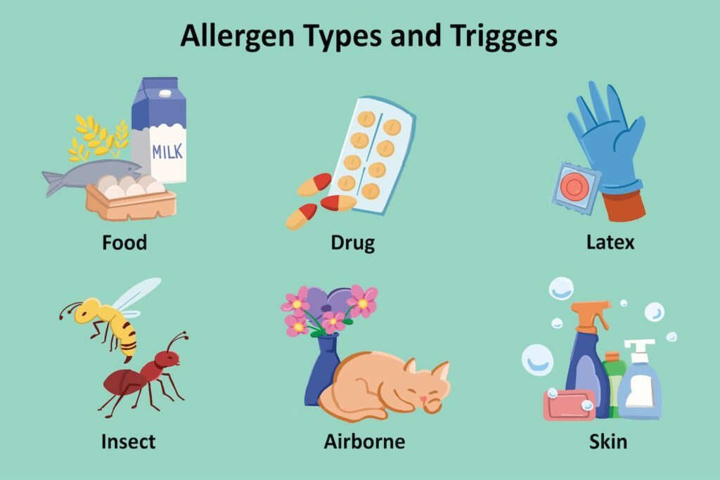 Types of Allergies